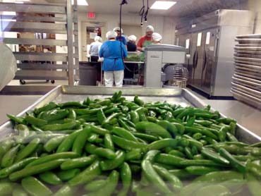 Pea Processing at Wisconsin Innovation Kitchen